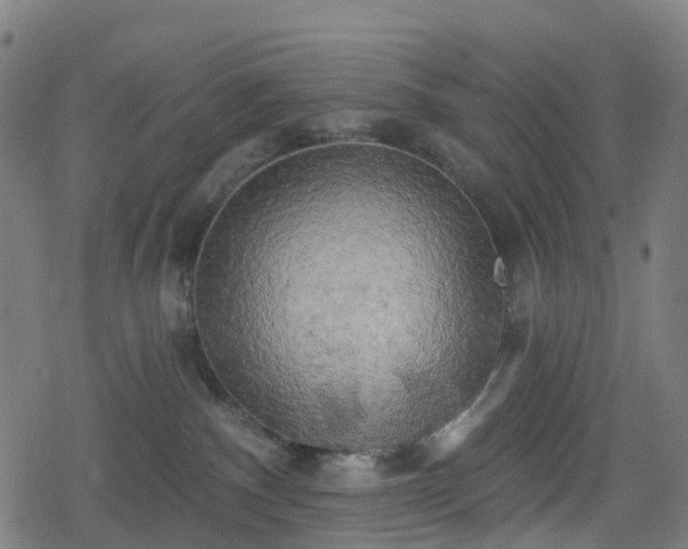 X0000078290140200611101118