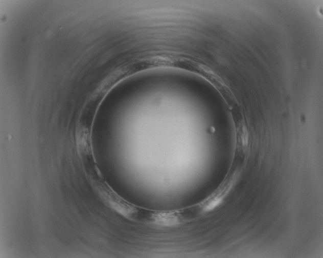 X0000078290141200611101118