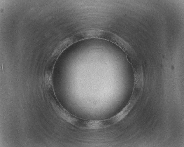 X0000078290142200611101118