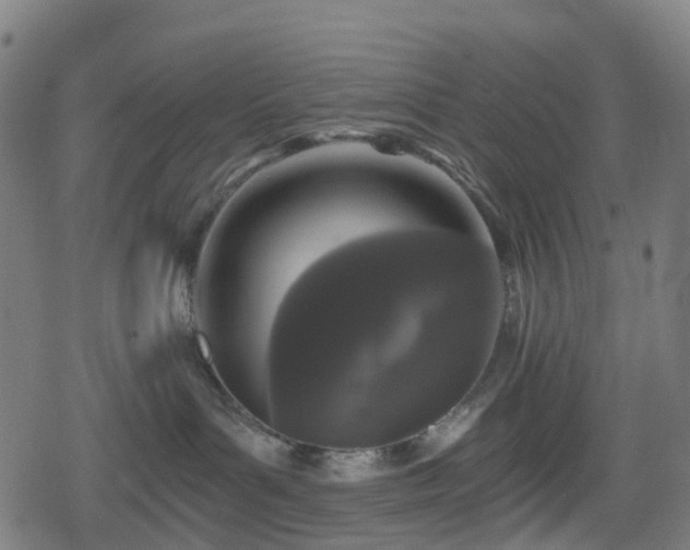 X0000078290143200611101118