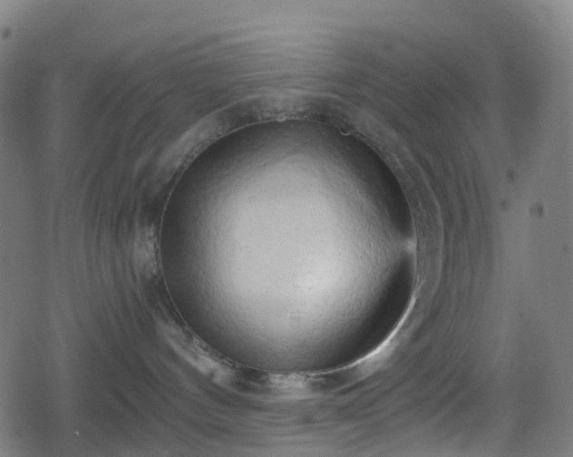 X0000078290144200611101118