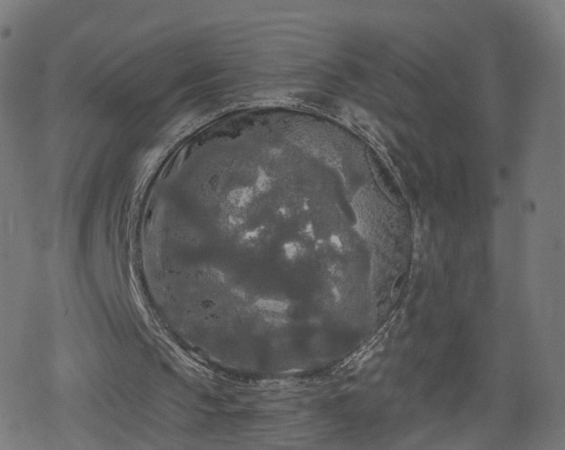 X0000078290145200611101117