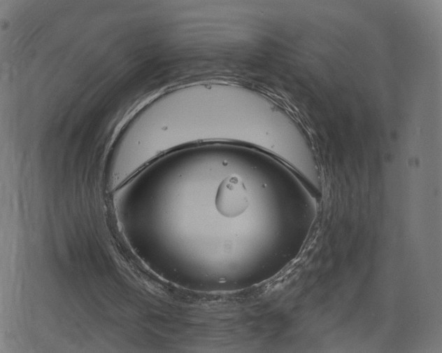 X0000078290146200611101117