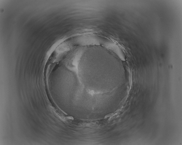 X0000078290147200611101117