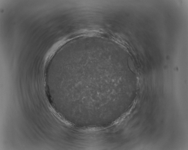 X0000078290149200611101117