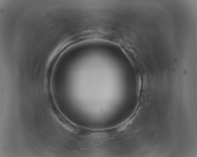 X0000078290150200611101117