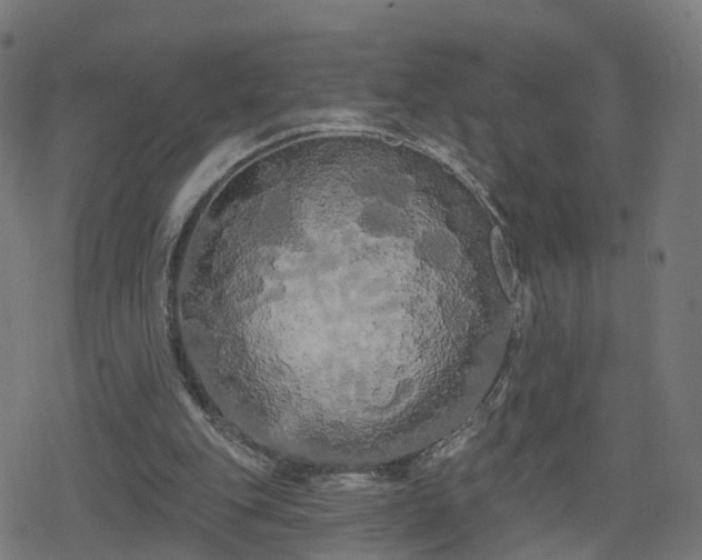 X0000078290151200611101117