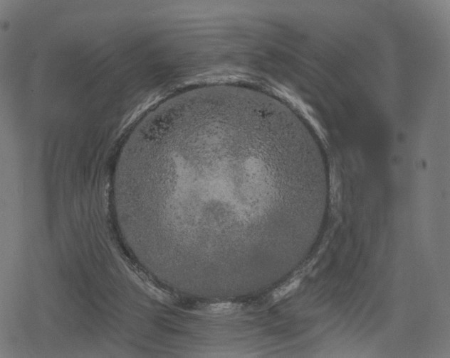 X0000078290153200611101117