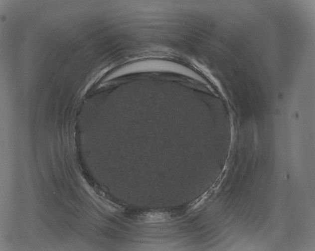 X0000078290154200611101117