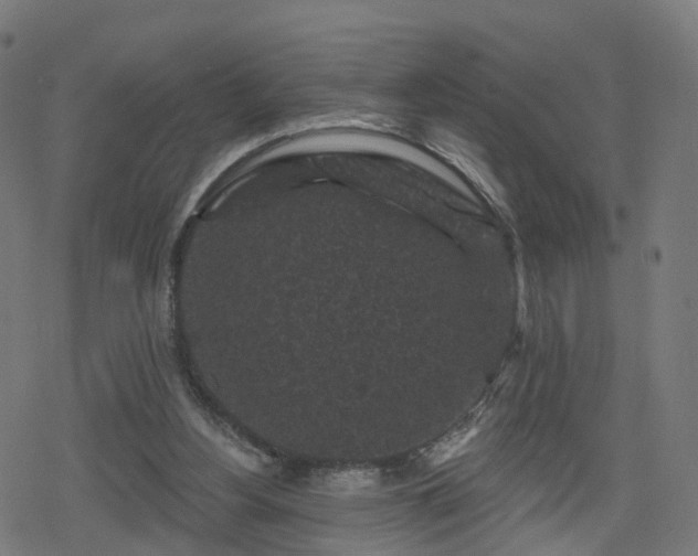 X0000078290156200611101117