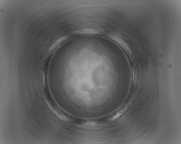 X0000078290157200611101117