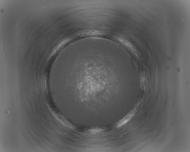 X0000078290158200611101117