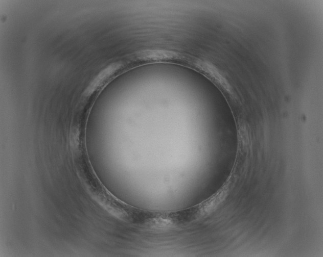 X0000078290159200611101117