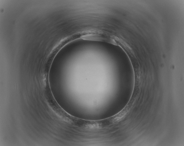 X0000078290160200611101117