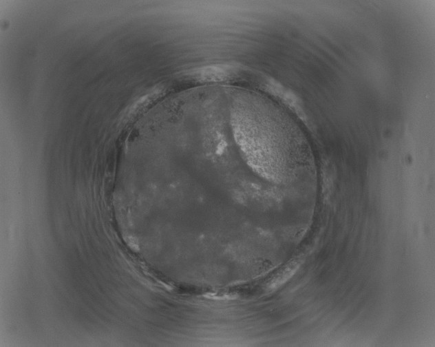 X0000078290161200611101117