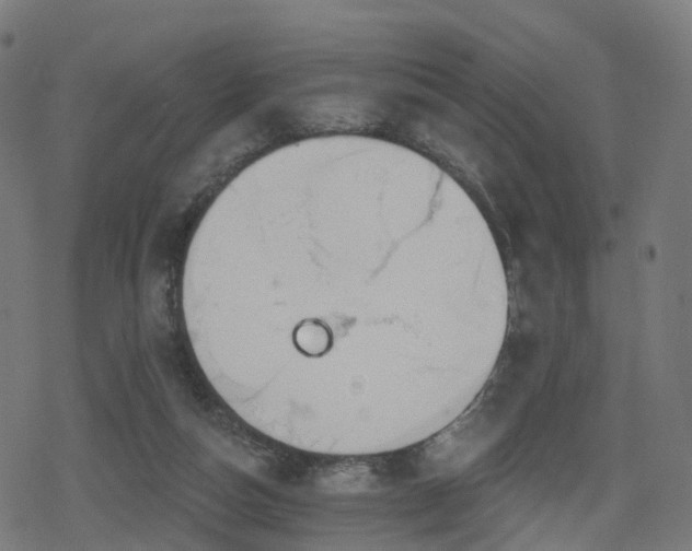 X0000078290162200611101117