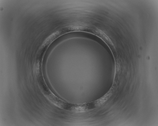 X0000078290163200611101117