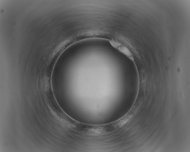 X0000078290164200611101117