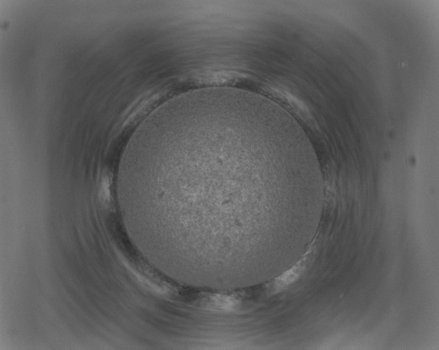 X0000078290166200611101117