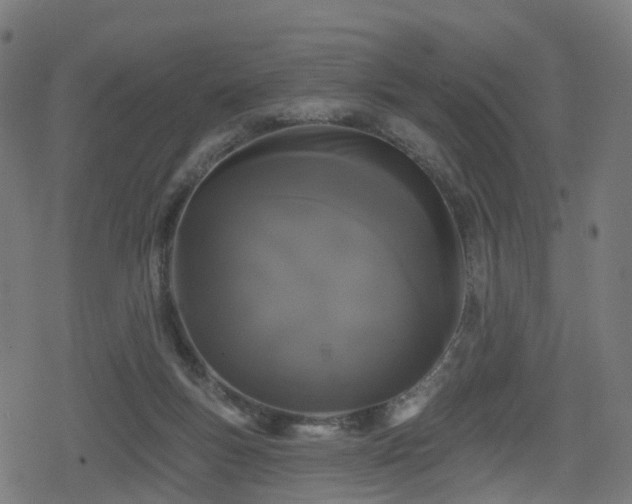 X0000078290167200611101117