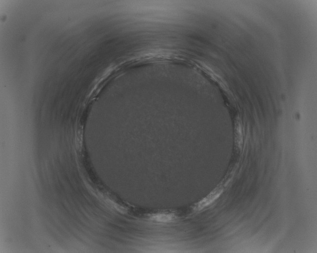 X0000078290168200611101117