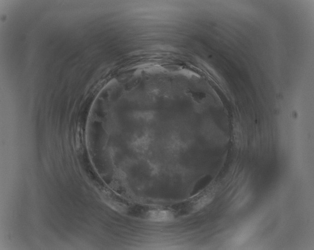 X0000078290169200611101117