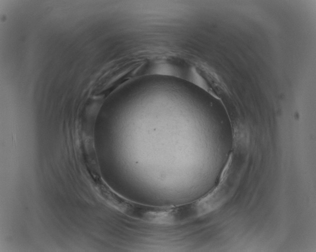 X0000078290170200611101117