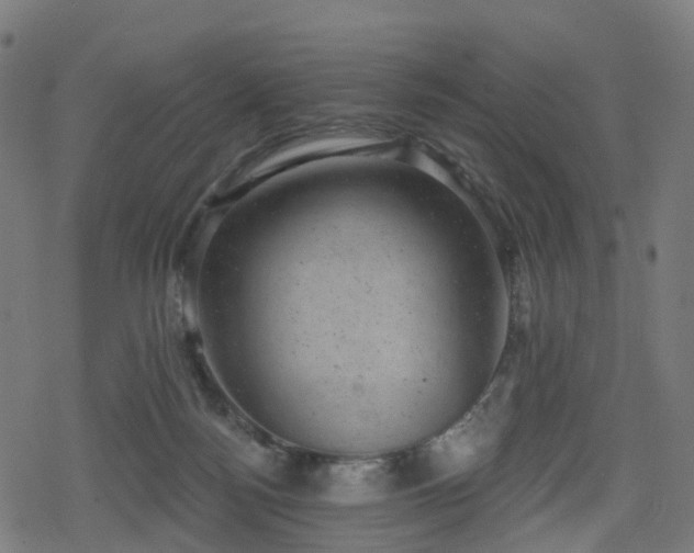 X0000078290172200611101117