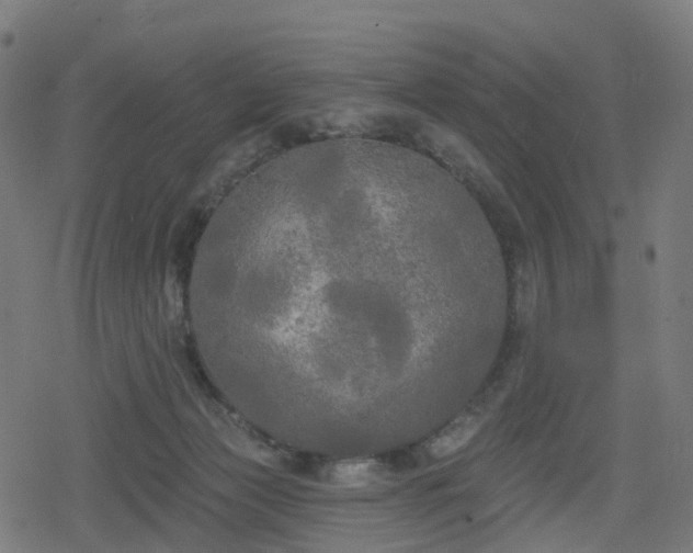 X0000078290173200611101117