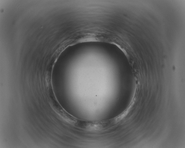 X0000078290174200611101117