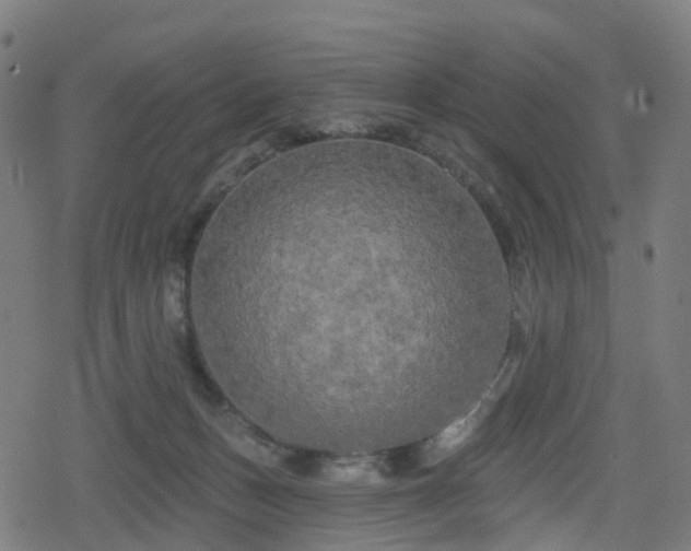 X0000078290175200611101117