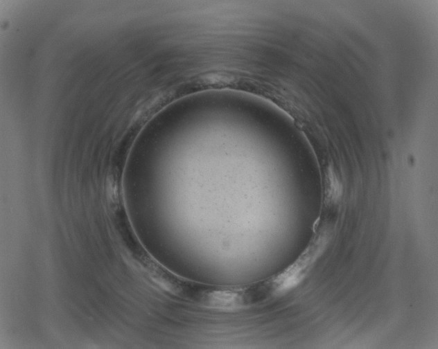 X0000078290176200611101117