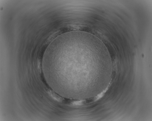 X0000078290178200611101117