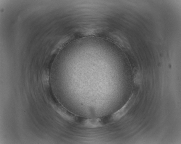 X0000078290179200611101117