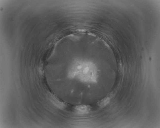 X0000078290181200611101117