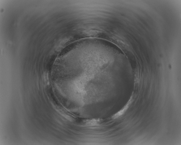 X0000078290182200611101117