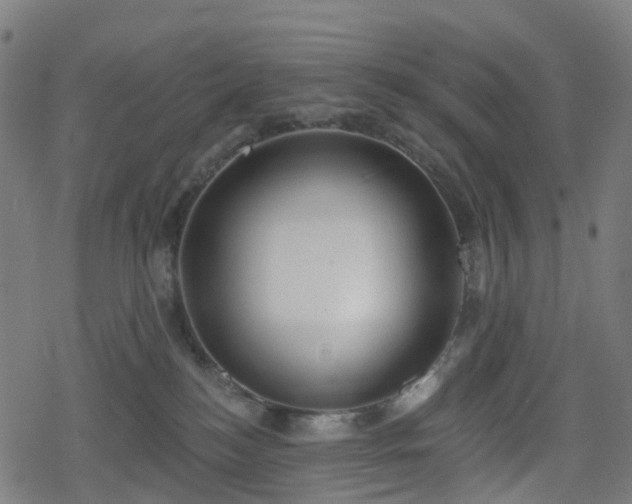 X0000078290184200611101117