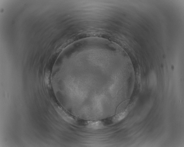 X0000078290185200611101117