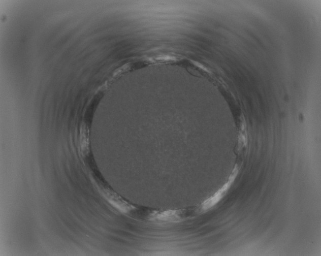 X0000078290186200611101117