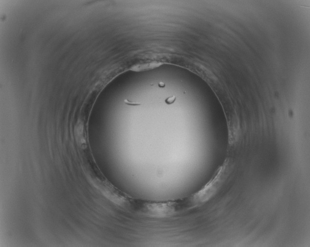 X0000078290187200611101117