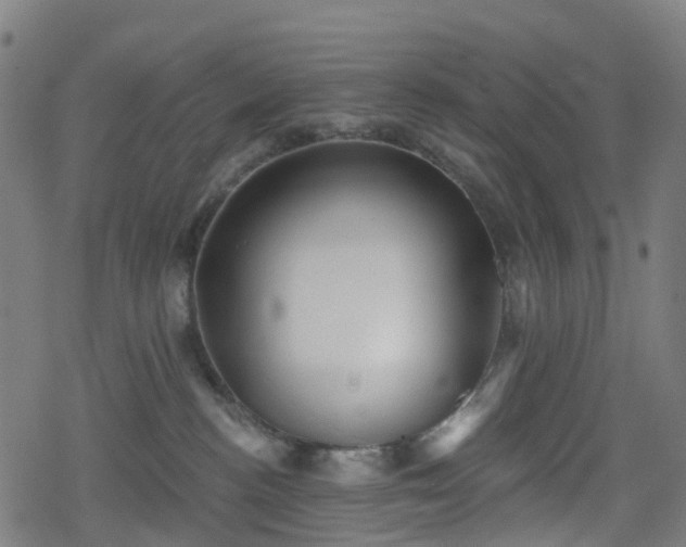 X0000078290188200611101117