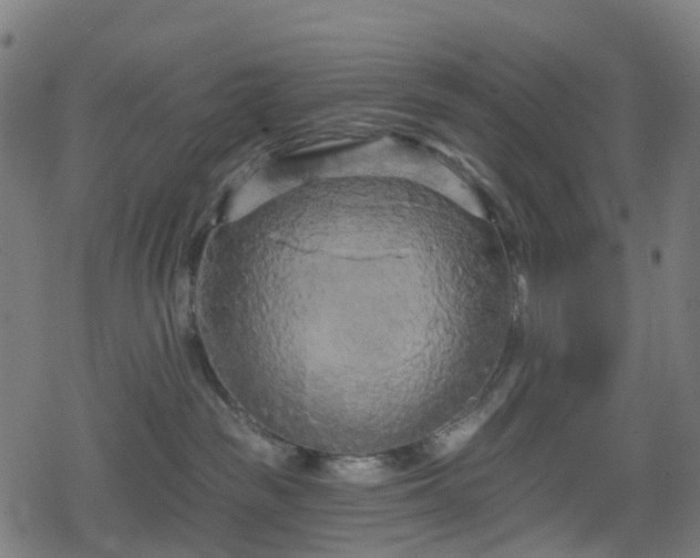 X0000078290189200611101117