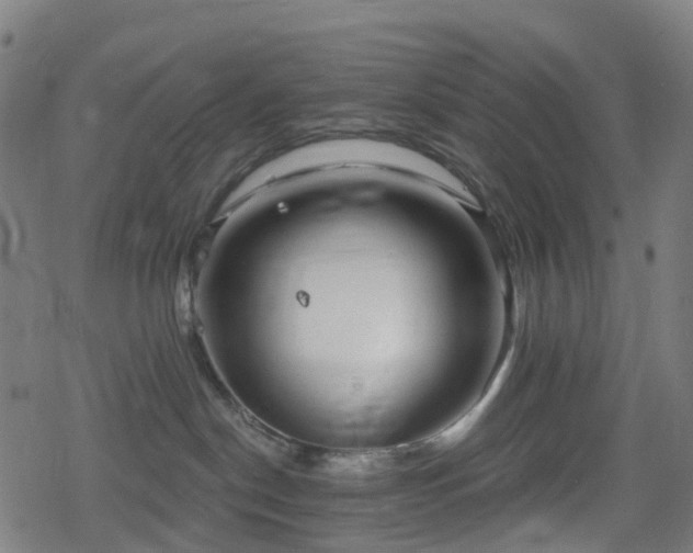 X0000078290190200611101118