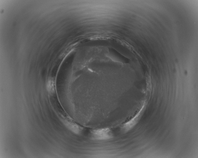 X0000078290191200611101118