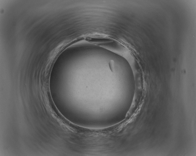 X0000078290193200611101117