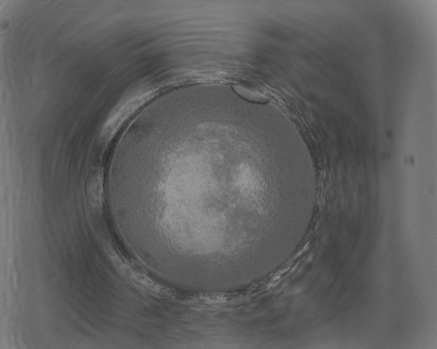 X0000078290194200611101117