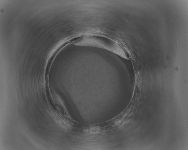 X0000078290196200611101117