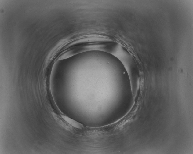 X0000078290197200611101117