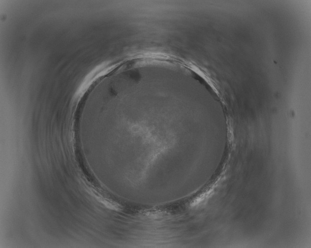 X0000078290199200611101117