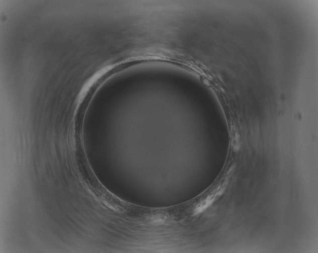 X0000078290200200611101117